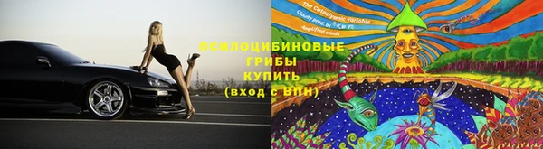 МДПВ Аркадак