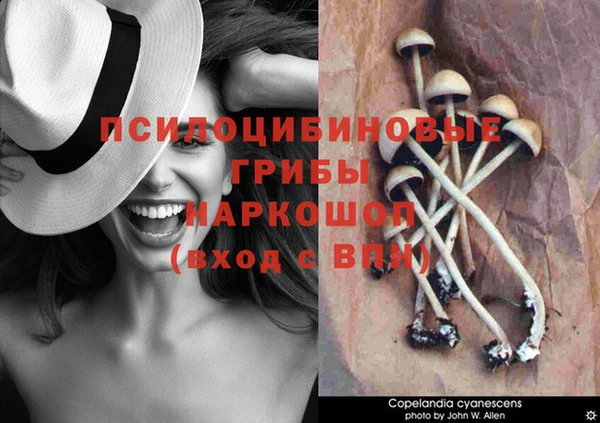 МДПВ Аркадак