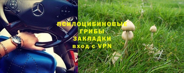 твердый Балахна